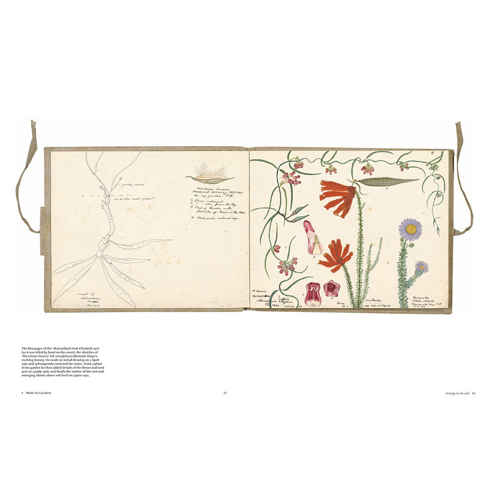 Botanical Sketchbooks by Helen Bynum and William Bynum