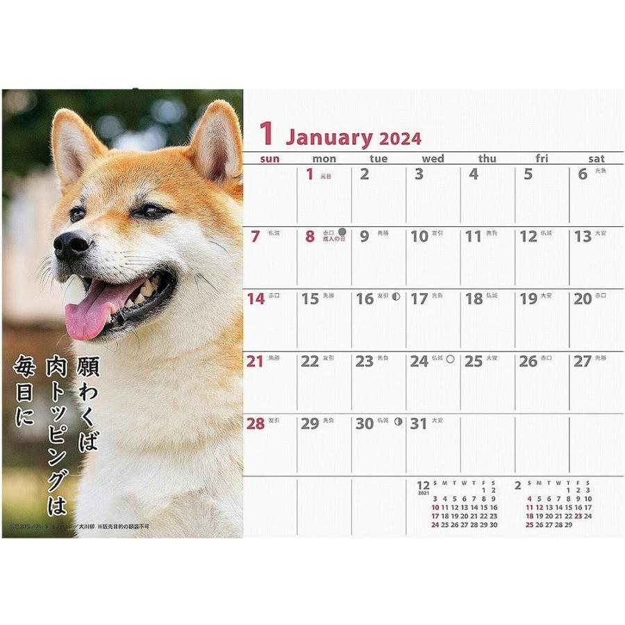SUN-STAR 2024 Desk Calendar APJ Inu Senryu