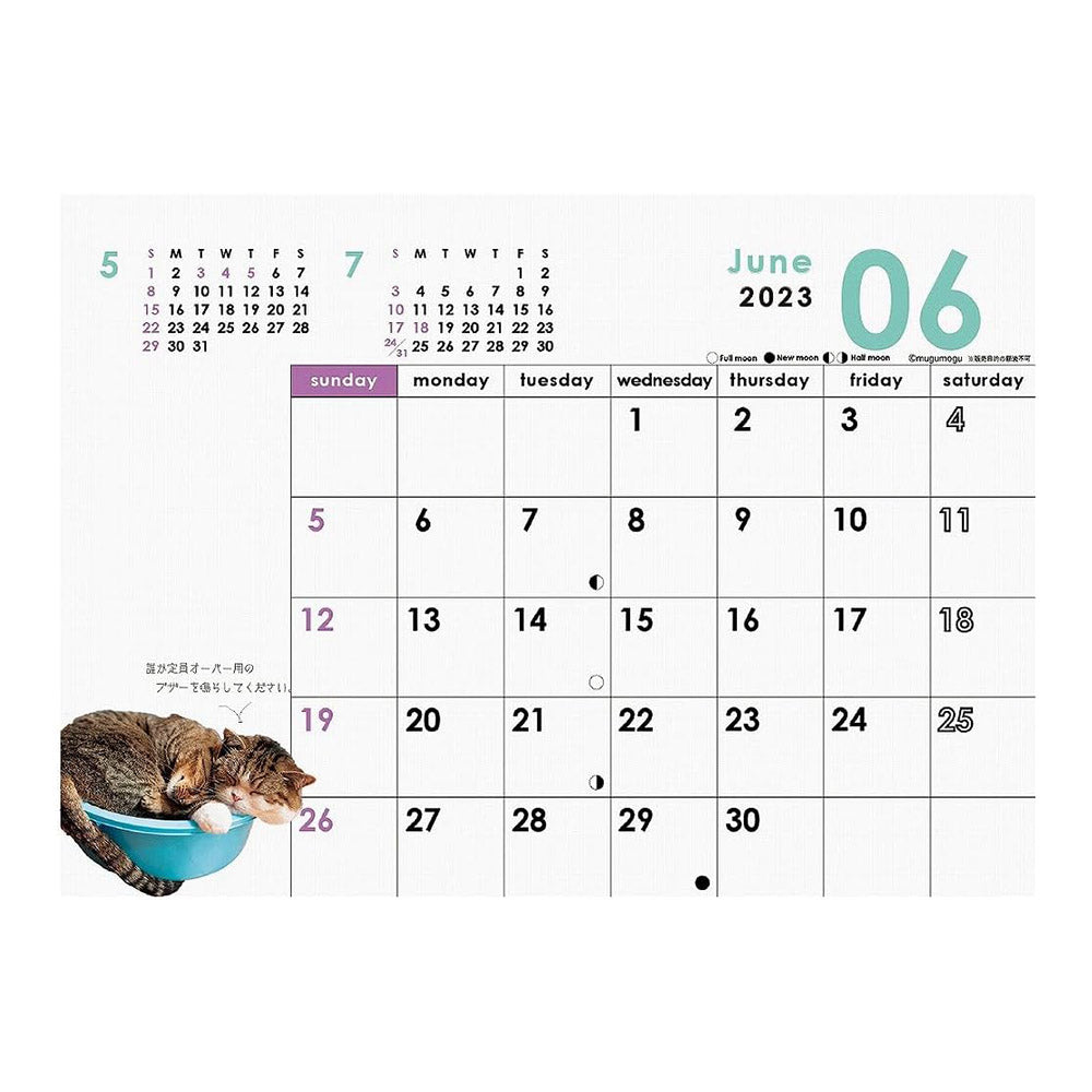 SUN-STAR 2024 Desk Calendar APJ I Am Maru Cat