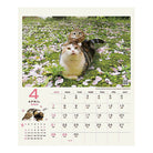 SUN-STAR 2024 Wall Calendar APJ Hukulou Coffee Cat