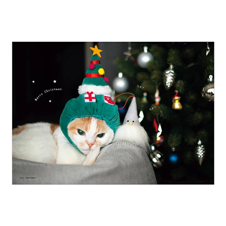 SUN-STAR 2024 Wall Calendar APJ Pocket Cat