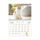SUN-STAR 2024 Wall Calendar APJ Pocket Cat