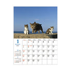 SUN-STAR 2024 Wall Calendar APJ Flying Cat