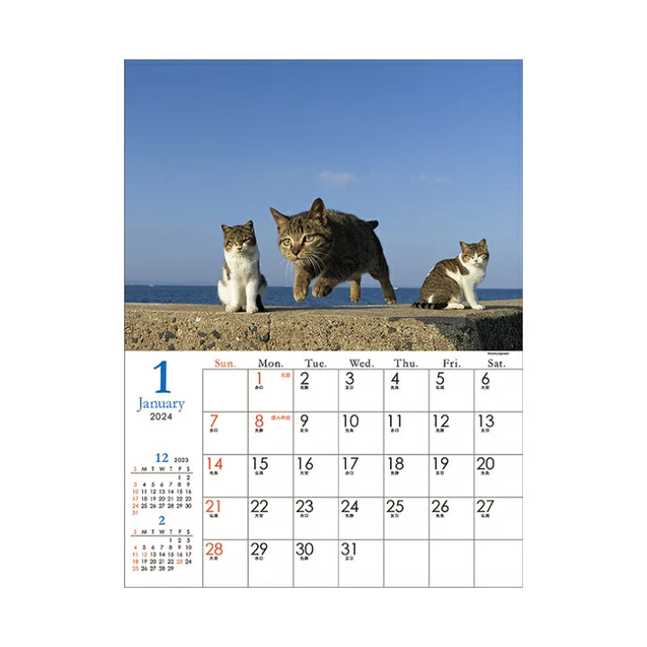 SUN-STAR 2024 Wall Calendar APJ Flying Cat