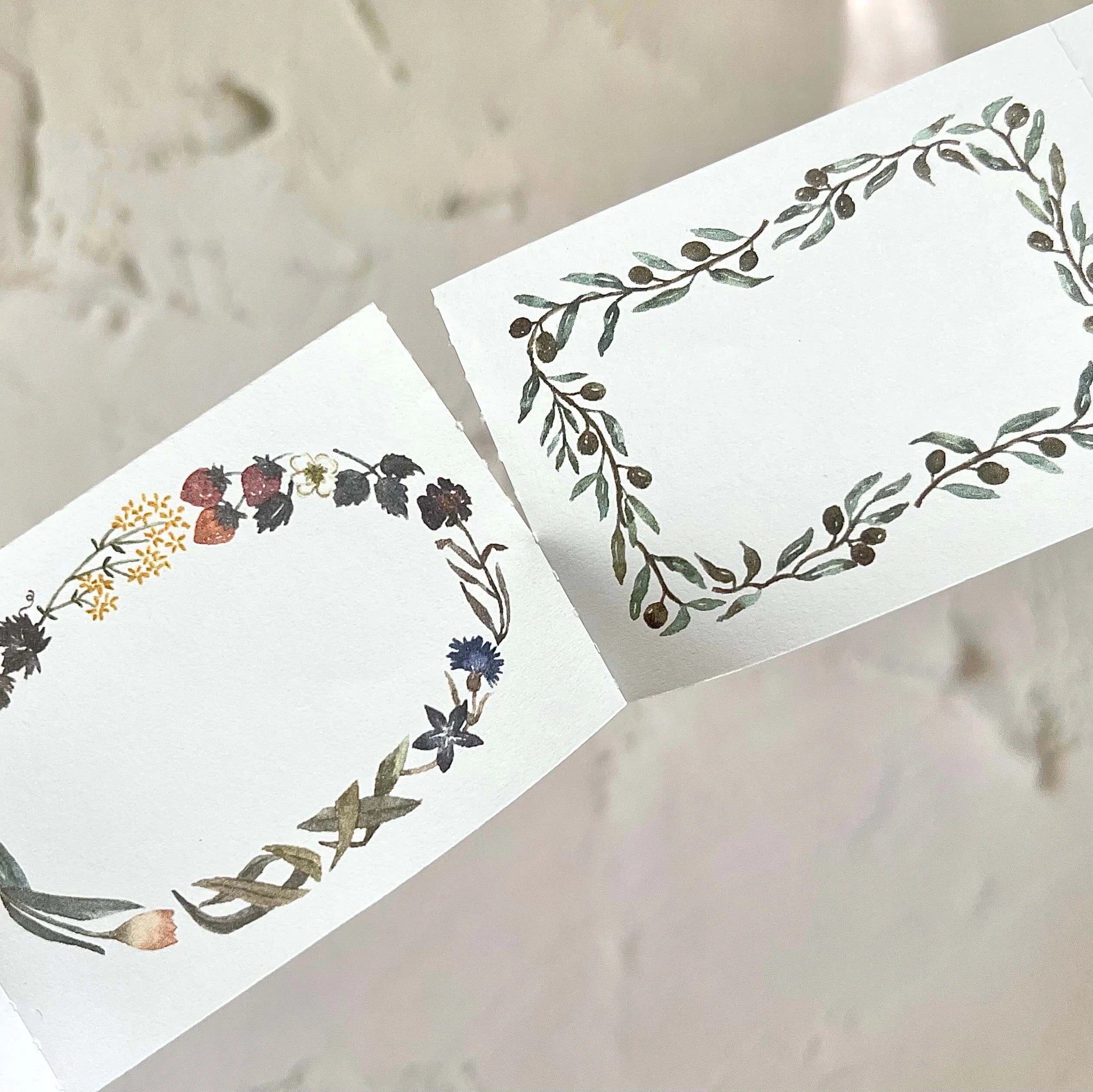 PION Paper Sticker Roll Full Roll 10M: Frame