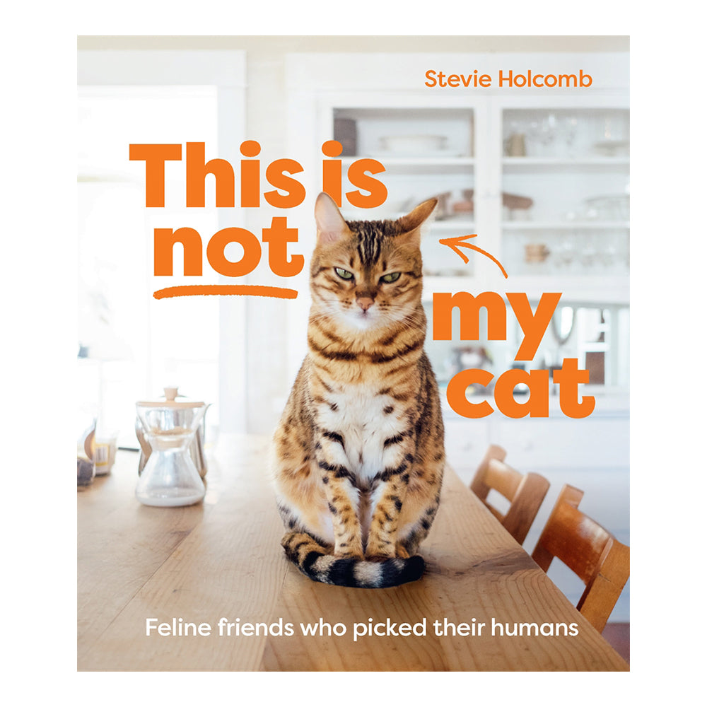 This Is Not My Cat: Feline Friends Who Picked Their Humans by Stevie Holcomb