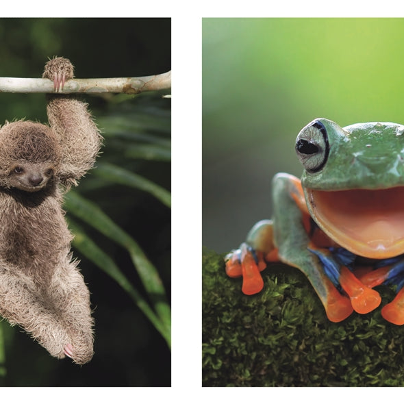 This Book Is Literally Just Pictures Of Tiny Animals That Will Make You Smile