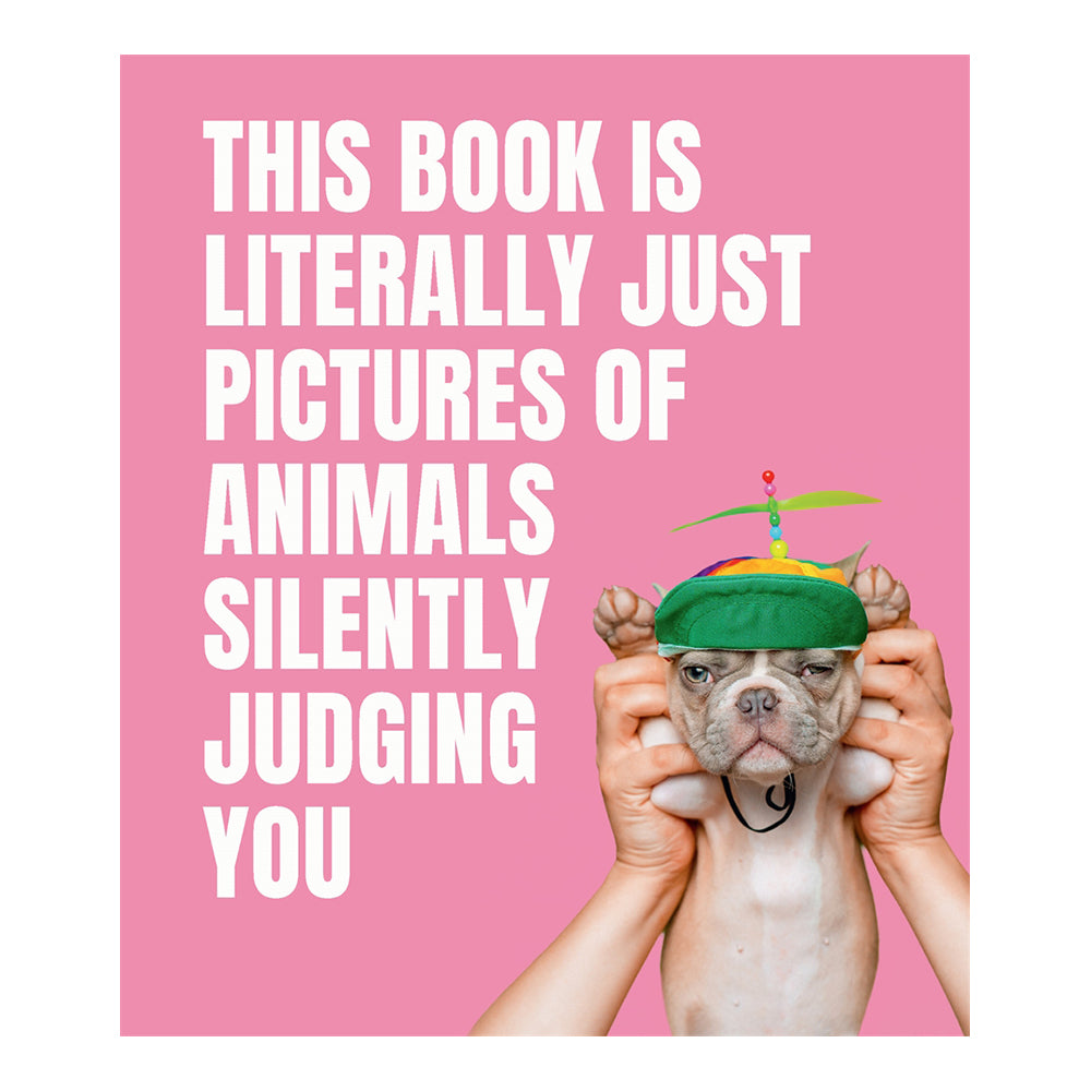 This Book Is Literally Just Pictures Of Animals Silently Judging You
