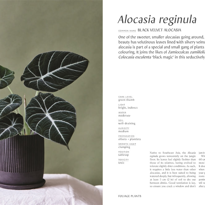 Plantopedia: The Definitive Guide To House Plants by Lauren Camilleri & Sophia Kaplan