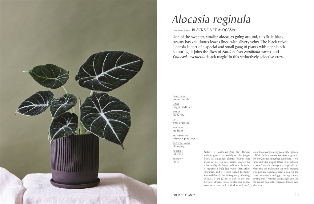 Plantopedia: The Definitive Guide To House Plants by Lauren Camilleri & Sophia Kaplan