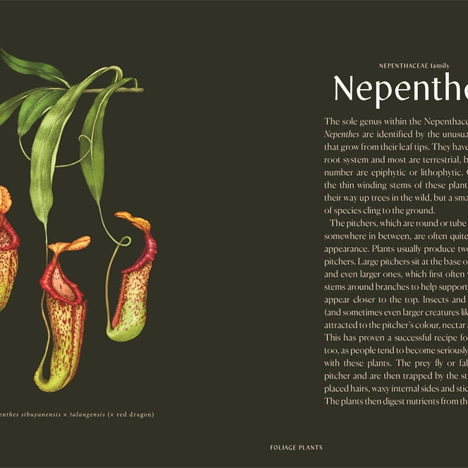 Plantopedia: The Definitive Guide To House Plants by Lauren Camilleri & Sophia Kaplan