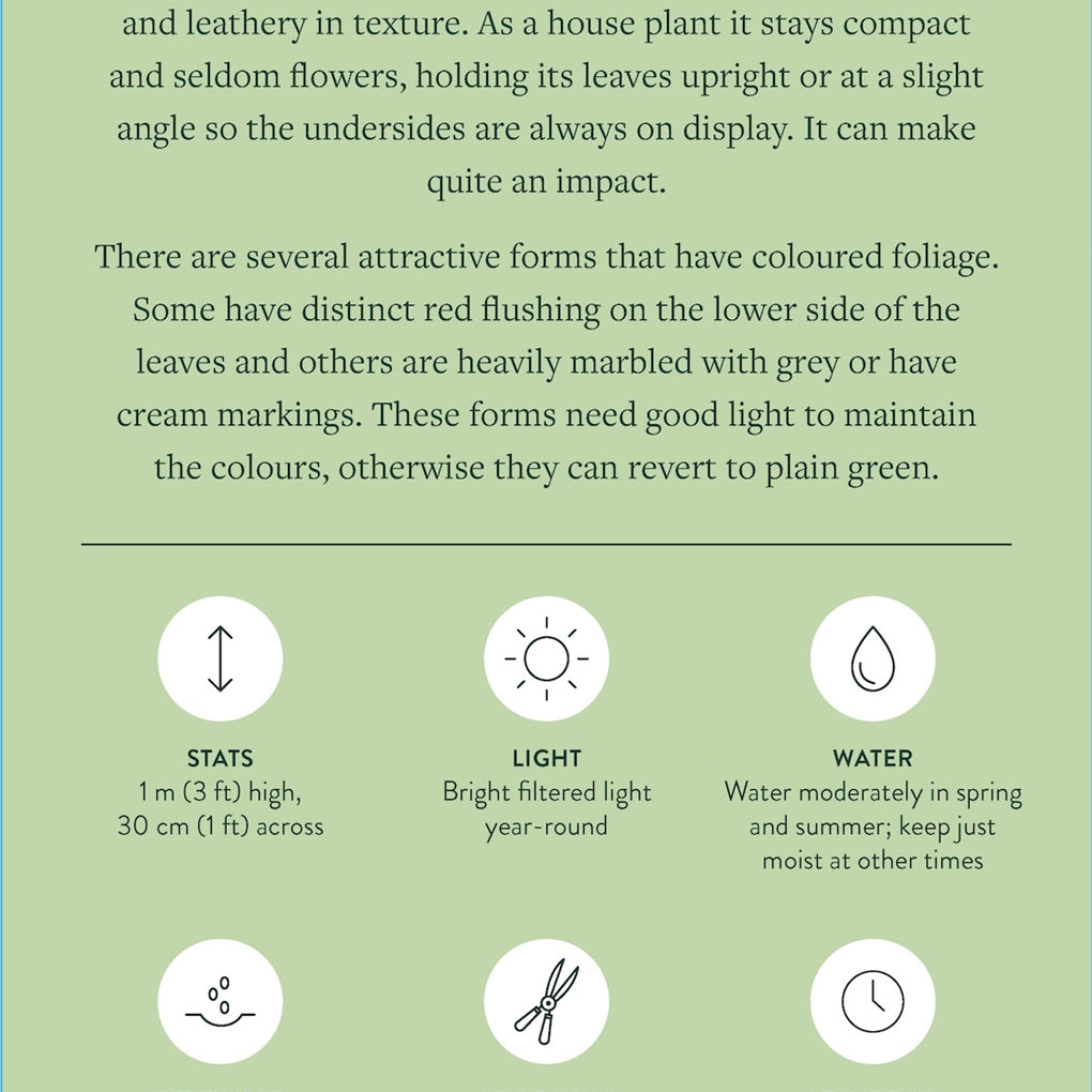 Pocket Plantcare: A Handy Guide To Raising 50 Of Your Best-Loved Indoor Plants by Andrew Mikolajski and Amberly Kramhoft