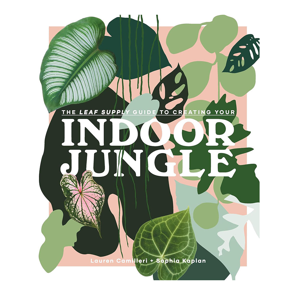 The Leaf Supply Guide To Creating Your Indoor Jungle by Lauren Camilleri & Sophia Kaplan