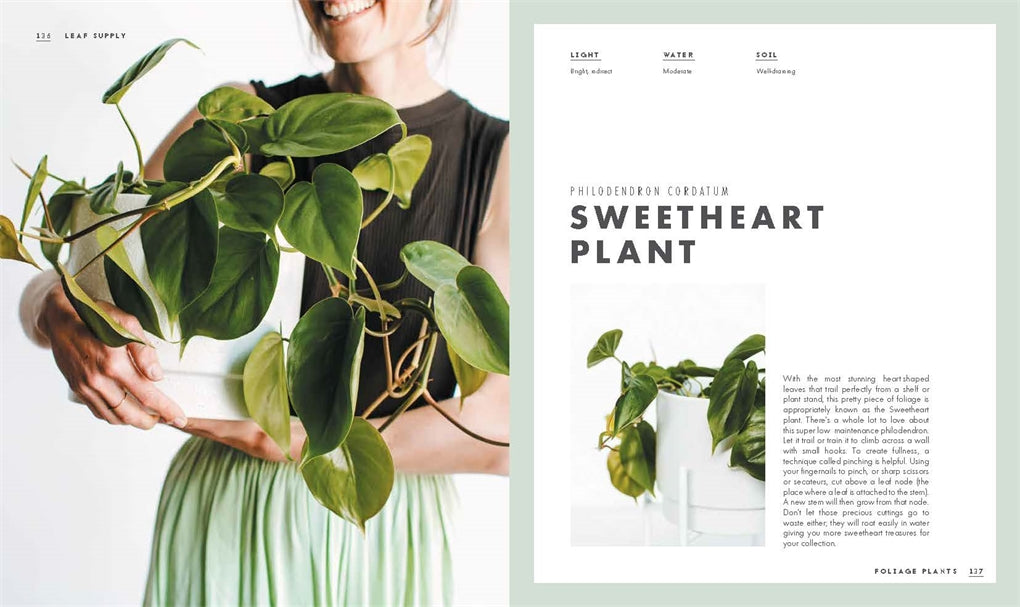 Leaf Supply: A Guide To Keeping Happy House Plants by Lauren Camilleri & Sophia Kaplan