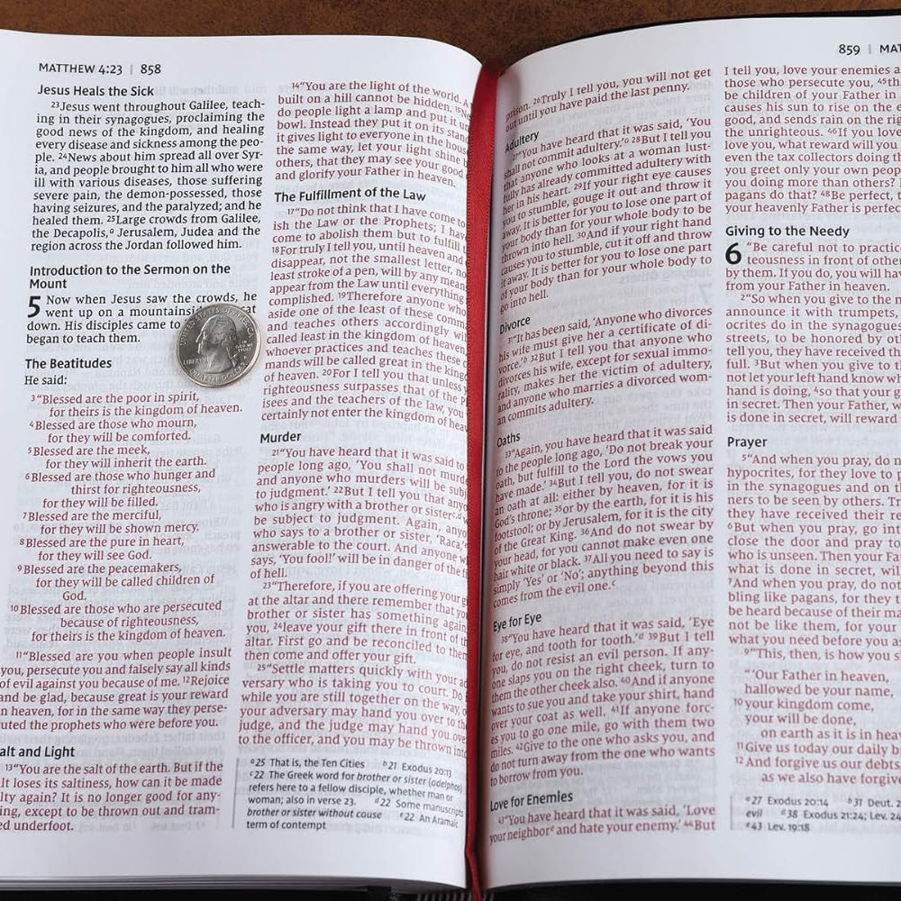 NIV - Thinline Bible, Large Print, Red Letter, Bonded Leather, Black