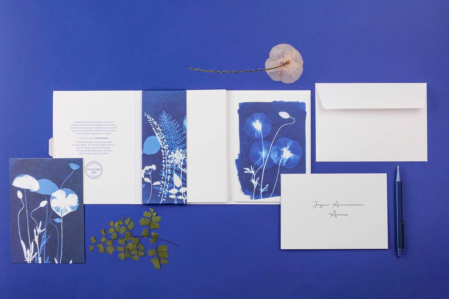 CLAIREFONTAINE x Cyanotype Correspondence Set