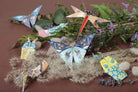 CLAIREFONTAINE Origami Kit 10cm/15cm/20cm 70g 60s Insects