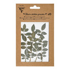 CLAIREFONTAINE Pressed Dried Flowers 10s Green 2