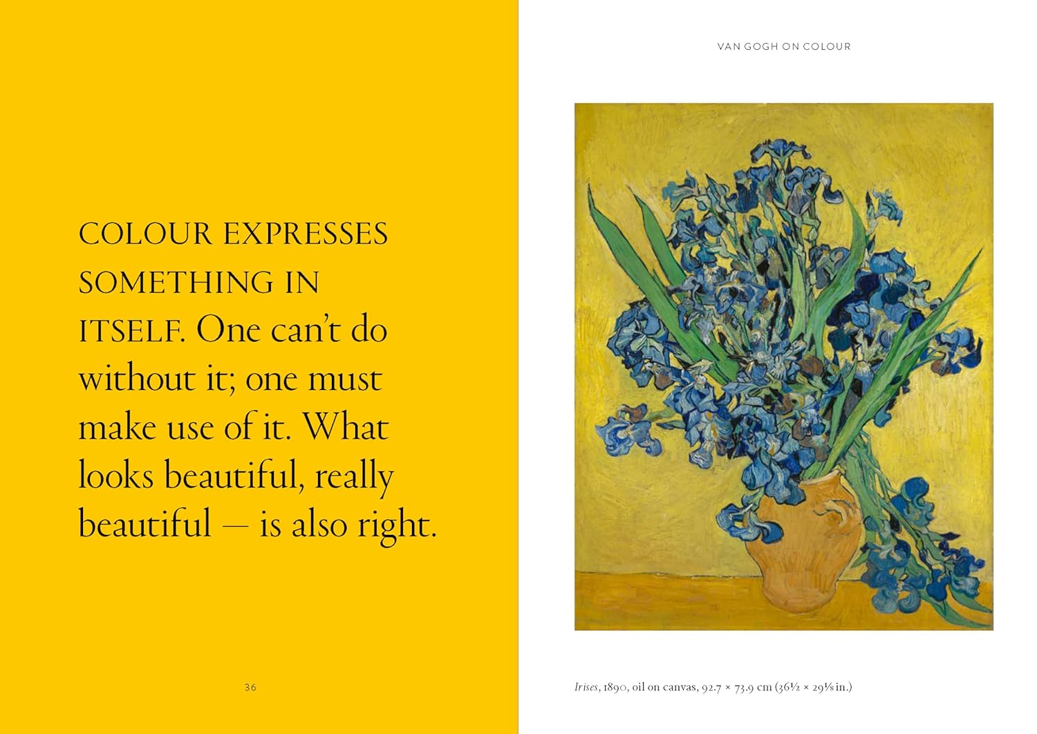 The World According to Vincent van Gogh by Nienke Bakker and Anne Blokland