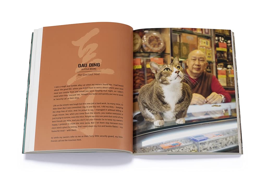 Shop Cats of Hong Kong by Marcel Heijnen and Catharine Nicol