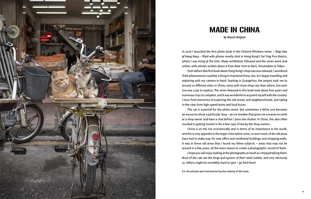 Shop Cats of China by Marcel Heijnen and Catharine Nicol