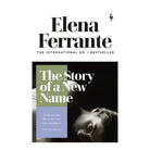 The Story Of A New Name (Neapolitan #02) by Ferrante Elena