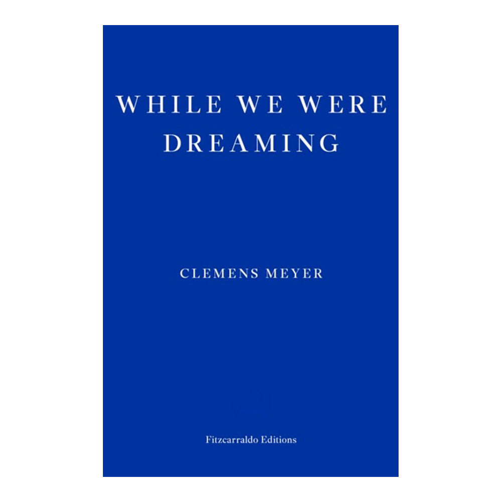 While We Were Dreaming by Clemens Meyer