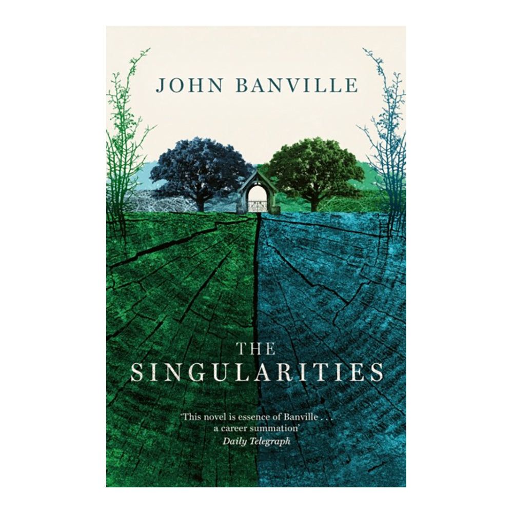 The Singularities by John Banville