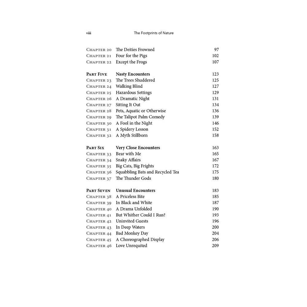 The Footprints of Nature by Loke Kok Yee