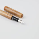 XZOTIC PENS Fountain Pen IC464 Burgeon