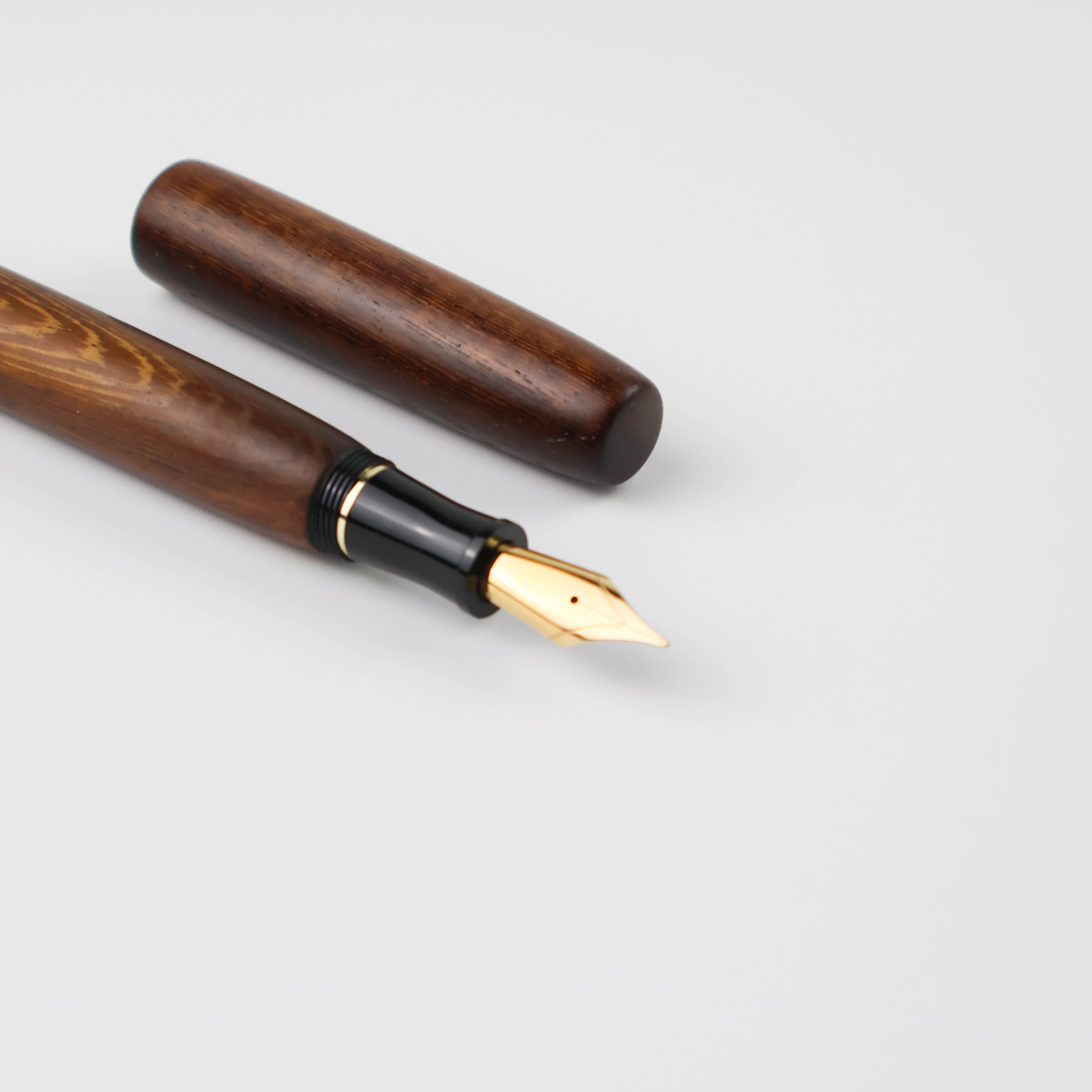 XZOTIC PENS Fountain Pen IC481 Burgeon