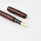 XZOTIC PENS Fountain Pen IC482 Burgeon