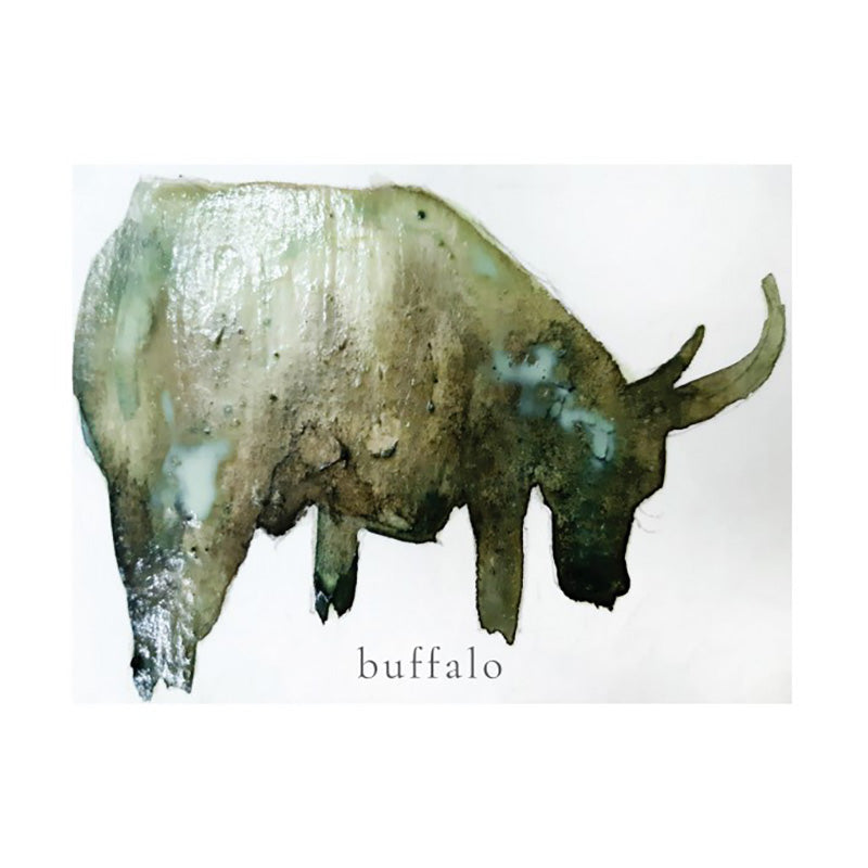 SHIREEN LEE Baffalo Postcard