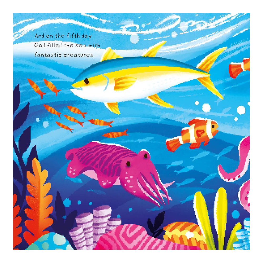 Very Best Bible Stores: God's Very Colourful Creation