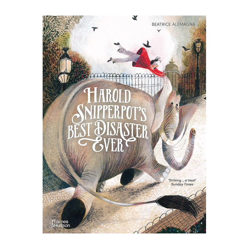 Harold Snipperpot’s Best Disaster Ever by Beatrice Alemagna