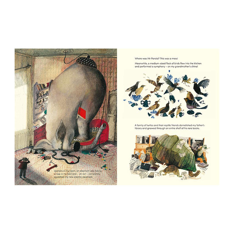 Harold Snipperpot’s Best Disaster Ever by Beatrice Alemagna