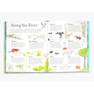 Mouse on the River: A journey through nature by Alice Melvin