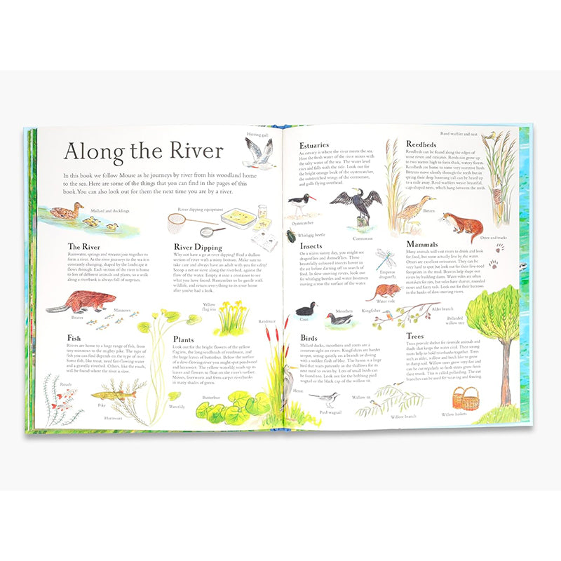 Mouse on the River: A journey through nature by Alice Melvin