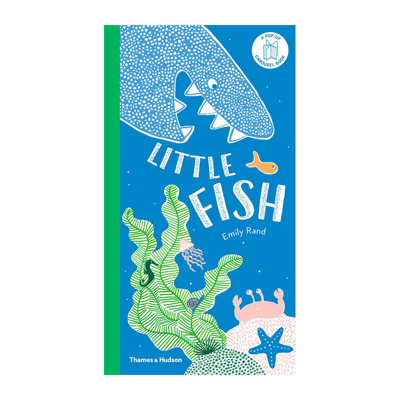 Little Fish: A Carousel Book by Emily Rand