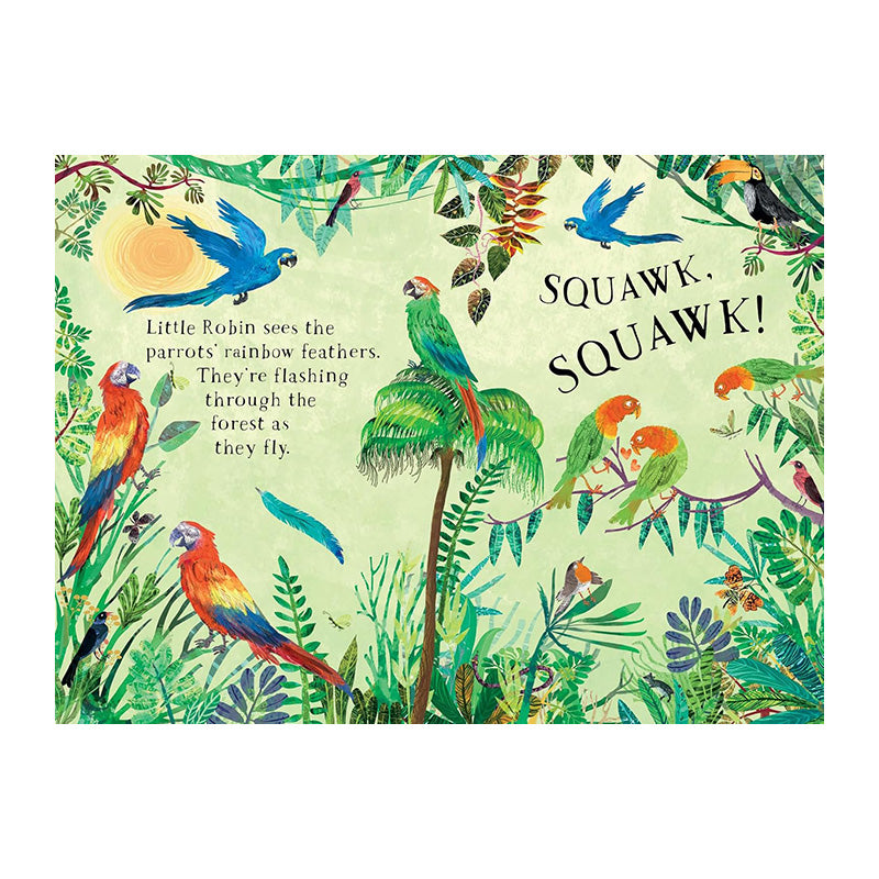 Little Robin's Book of Birds by Yuval Zommer