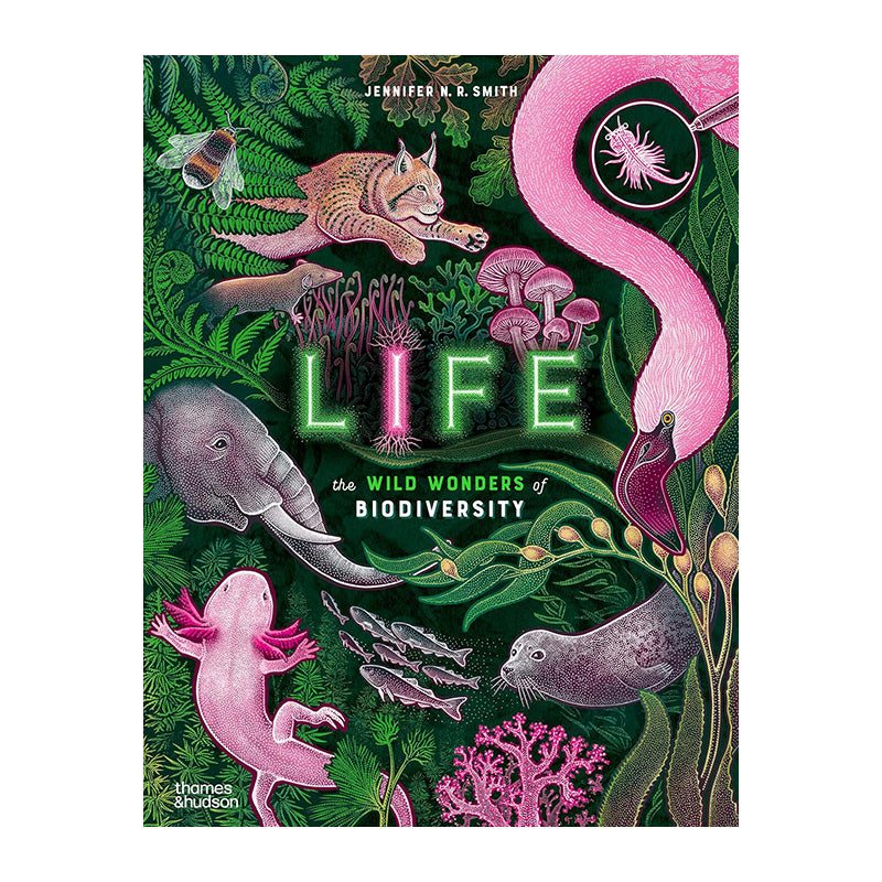 Life: The wild wonders of biodiversity by Jennifer N. R. Smith