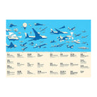 Sky High!: A Soaring History of Aviation by Jacek Ambrozewski