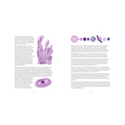 The Little Book of Cosmic Catastrophes (That Could End the World): What has happened • What can happen • What will happen by Dr Sara Webb