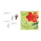 Norm by Sylvia Liang