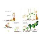 The Tiny Gardeners by Kat Macleod