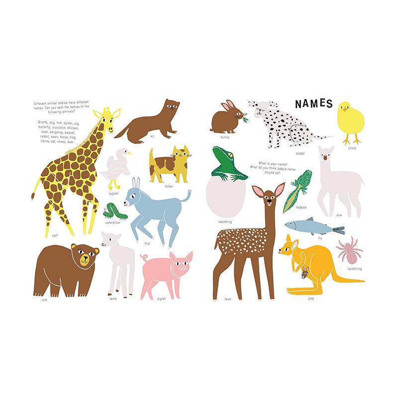 The New Baby (revised edition) by Lie Dirkx