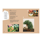 Photo Adventures: Don’t take photos, make photos! by Jan von Holleben and Monte Packham