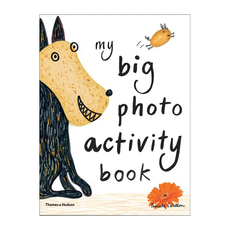 My Big Photo Activity Book by Pascale Estellon