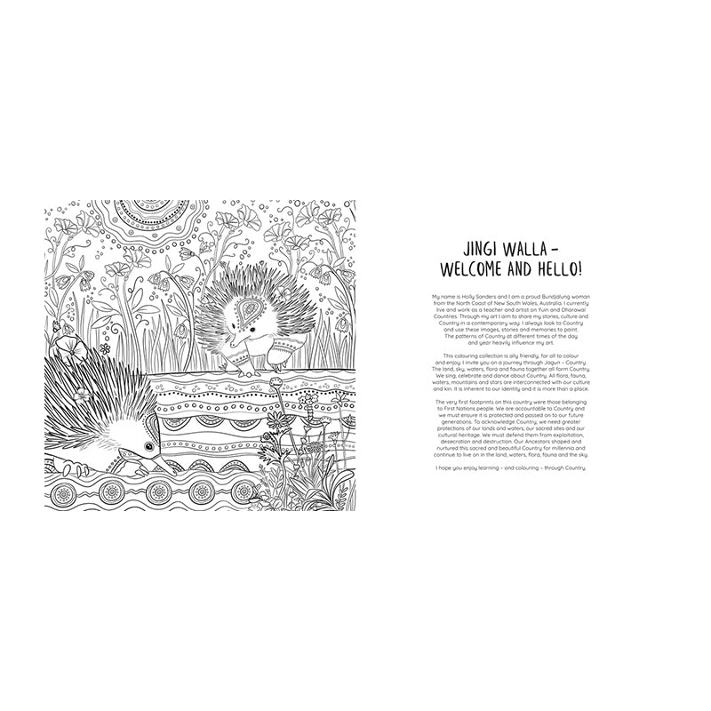 Jagun: A First Nations Colouring Book by Holly Sanders