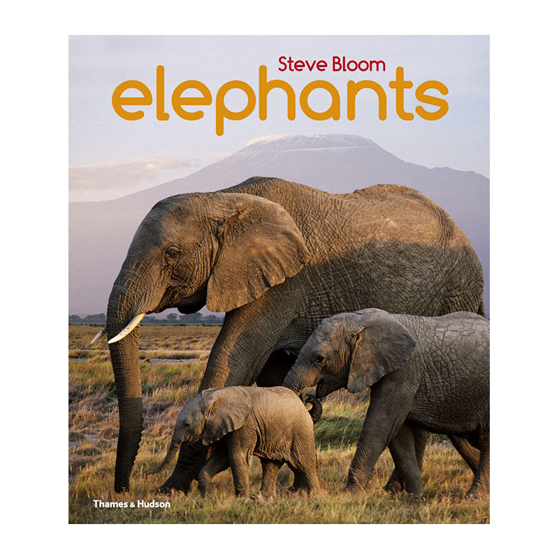 Elephants by Steve Bloom and David Henry Wilson